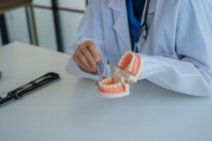 A person in a white coat holds dental forceps and points to a dental model of human teeth and gums on a white table, suggesting a dental or oral health explanation.